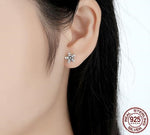 Dazzling Daisy Flower Earrings